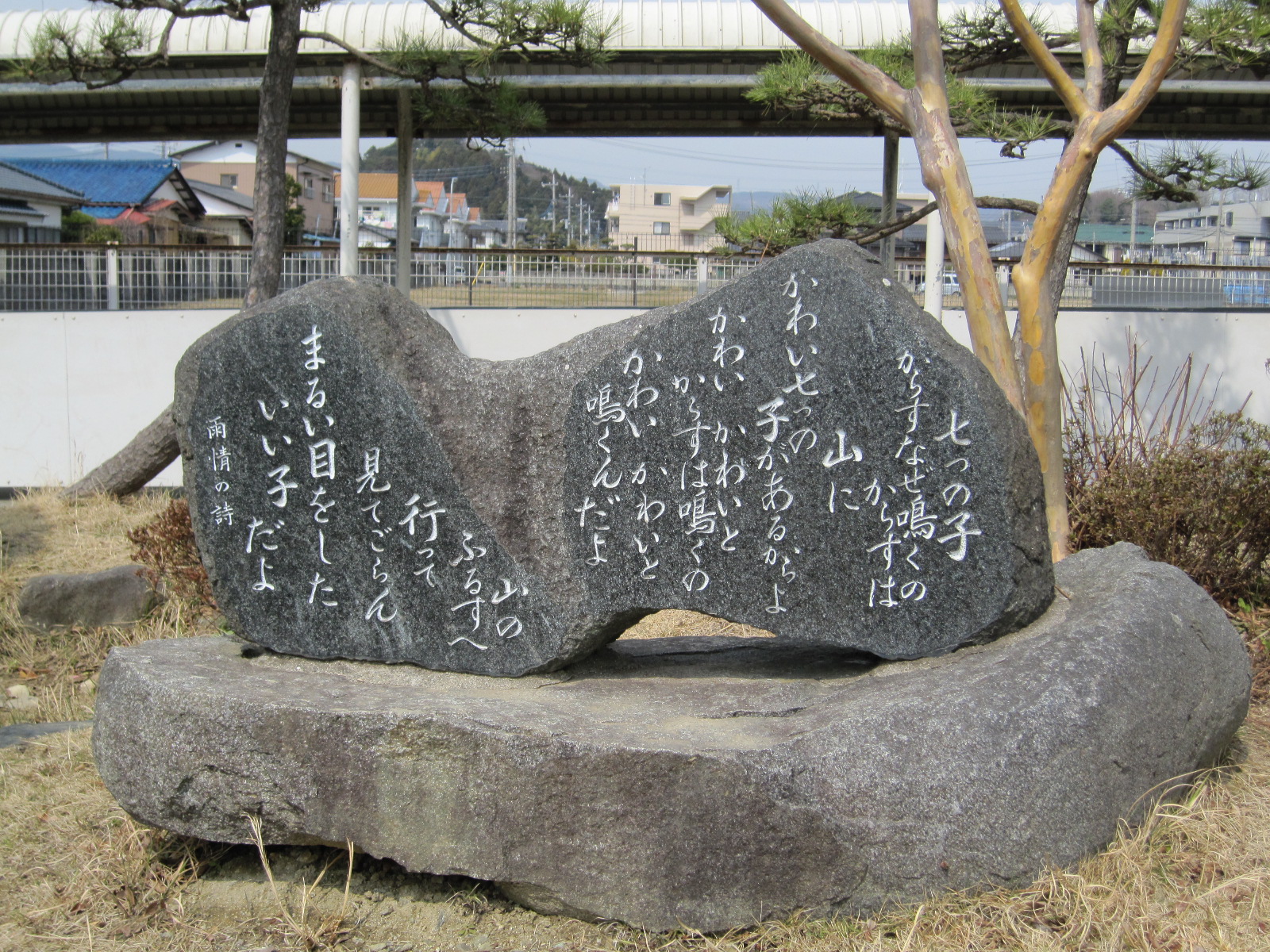 七つの子　写真